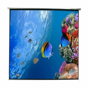 Projection Screen APPROX APPP240E (240 x 240 cm)